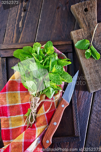 Image of fresh mint 