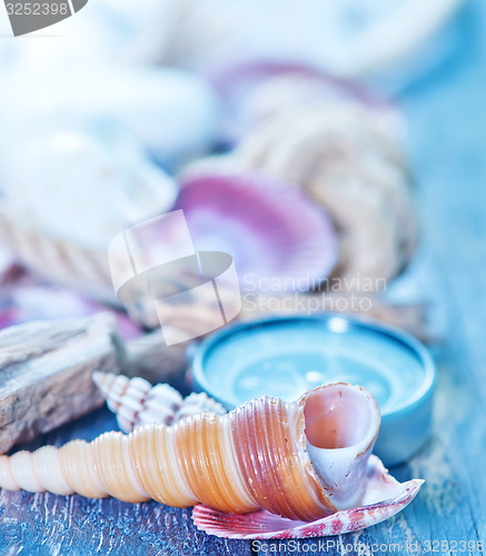 Image of sea shells