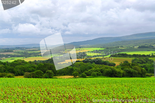 Image of Agricultural landscape