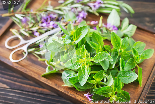 Image of aroma herbs