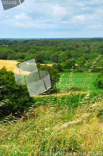 Image of Rural landscape