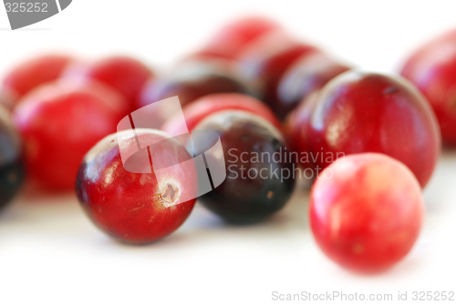 Image of Cranberries macro