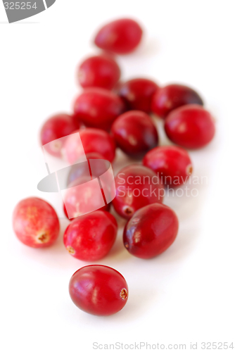 Image of Cranberries macro