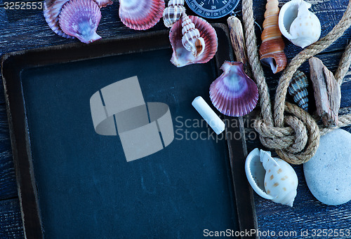 Image of sea shells