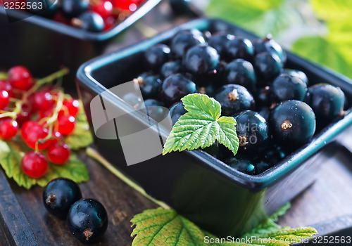 Image of fresh currant