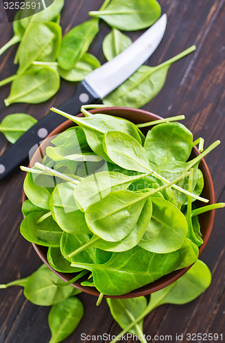 Image of fresh spinach