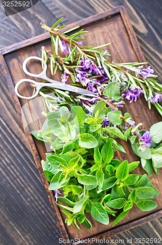 Image of aroma herbs