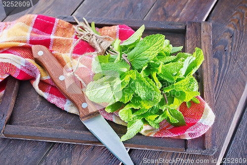 Image of fresh mint 