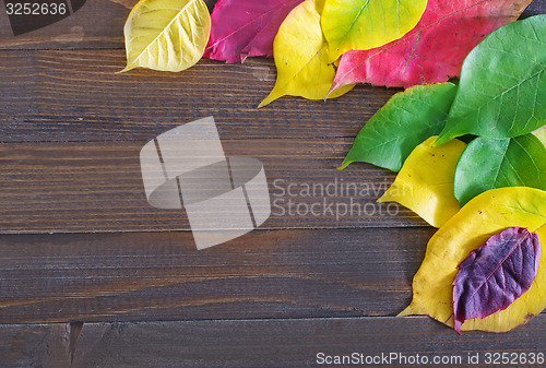 Image of automn background