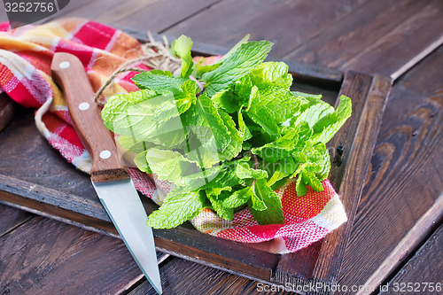 Image of fresh mint 