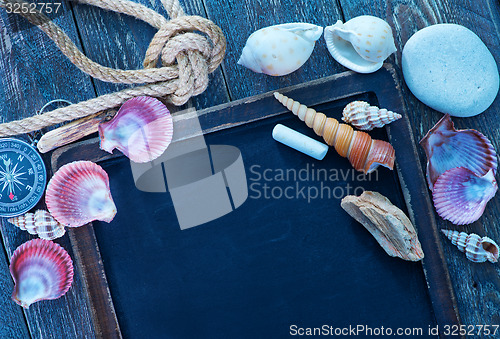 Image of sea shells