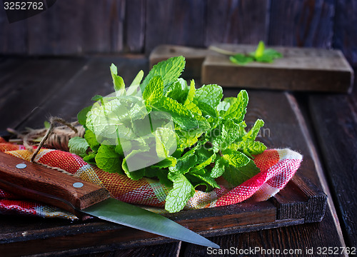 Image of fresh mint 