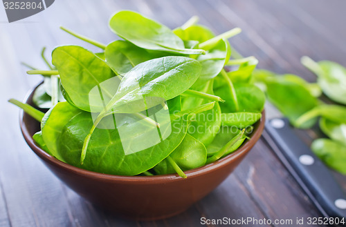 Image of fresh spinach
