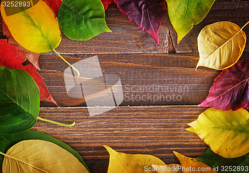 Image of automn background