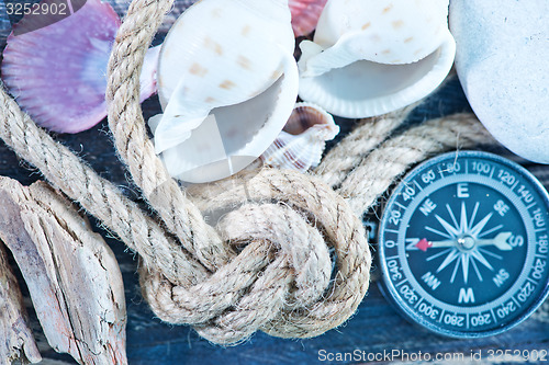 Image of sea shells