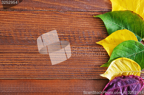Image of automn background