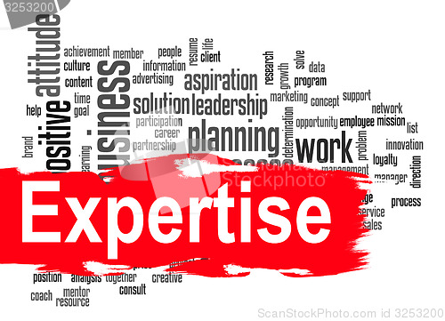 Image of Expertise word cloud with red banner