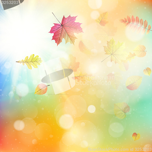 Image of Leaves in autumn forest. EPS 10