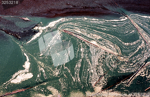 Image of Lake with a dense bloom of green algae.