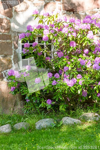 Image of Scandinavian architecture. Flowers decorating window in the building.