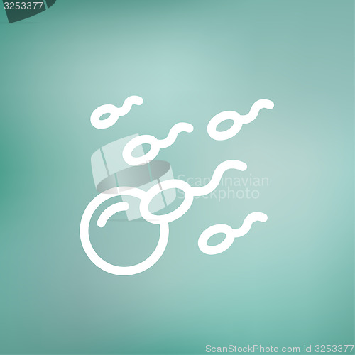 Image of Sperm and egg cells thin line icon