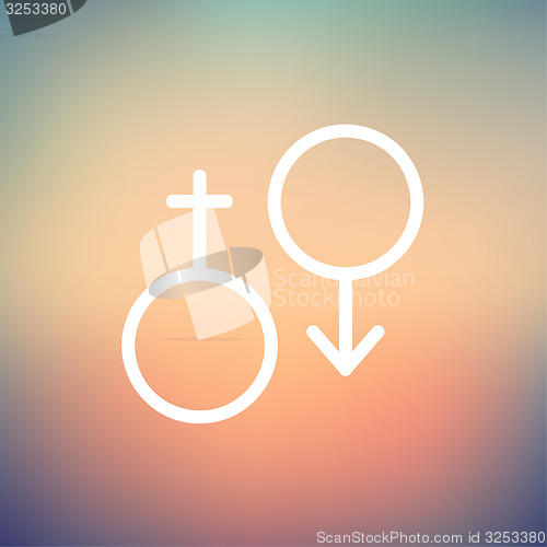 Image of Male and female thin line icon