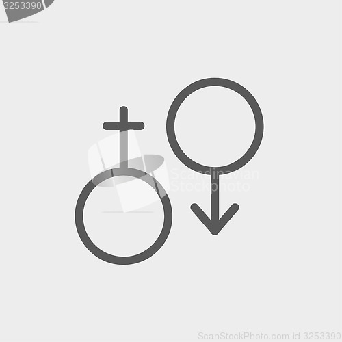 Image of Male and female thin line icon