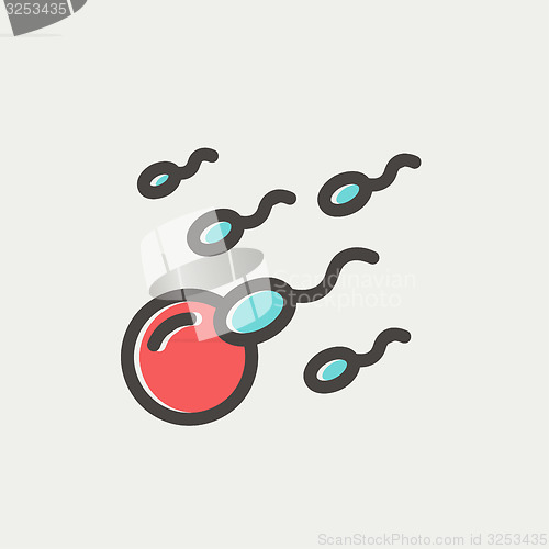 Image of Sperm and egg cells thin line icon