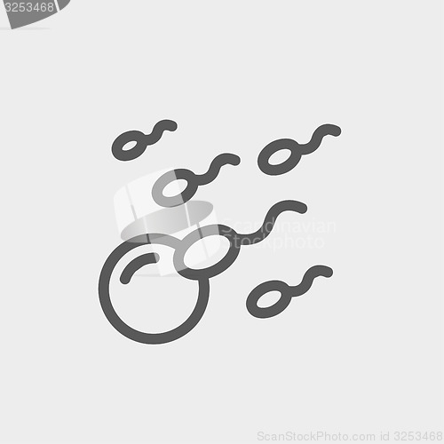 Image of Sperm and egg cells thin line icon