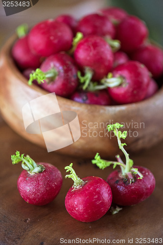 Image of harvest of ripe radish.