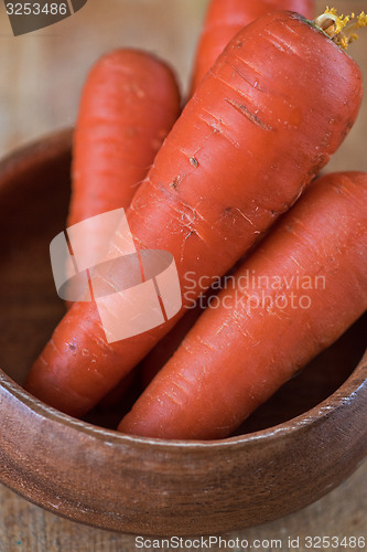 Image of ripe carrots