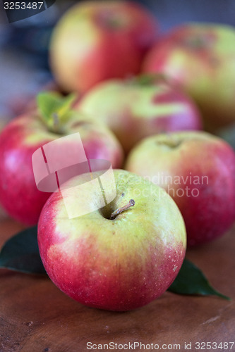 Image of harvest of apples
