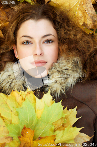 Image of autumnal portait