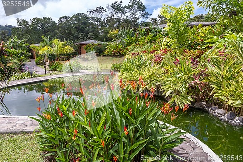 Image of Garden with various tropical plants and flower