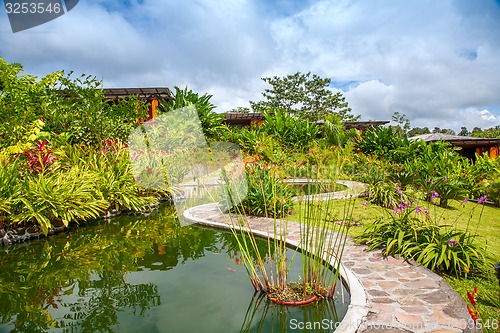 Image of Garden with various tropical plants and flower