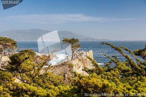 Image of Island Coastline, Santa Cruz Island, California