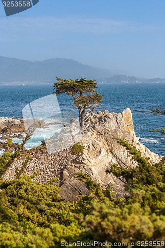 Image of Island Coastline, Santa Cruz Island, California