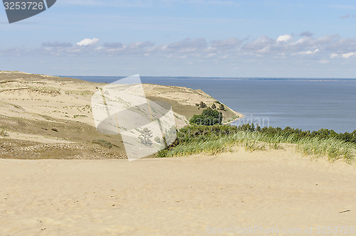 Image of Dead dunes in Curonian Spit, Lithuania, Europe