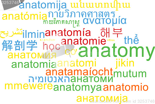 Image of Anatomy multilanguage wordcloud background concept