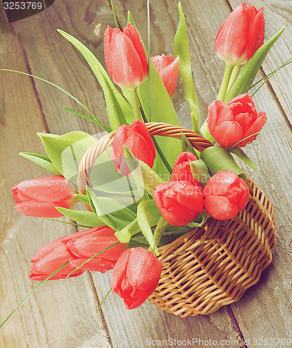 Image of Spring Tulips