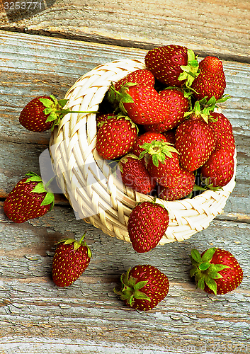 Image of Forest Strawberries