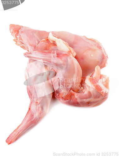 Image of Raw Rabbit Meat 