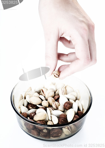 Image of Nuts