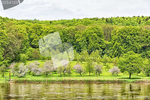 Image of Banks of Danube