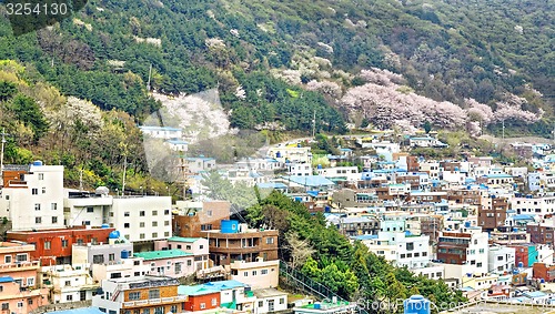 Image of Gamcheon Culture Village, Busan