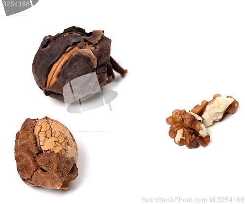 Image of Walnuts on white background