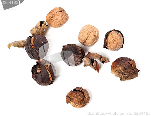 Image of Crude walnuts