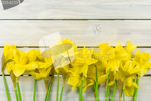 Image of Daffodils on a wooden background