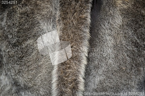 Image of Fur background with a tail