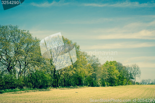 Image of Landscape with trees on a field